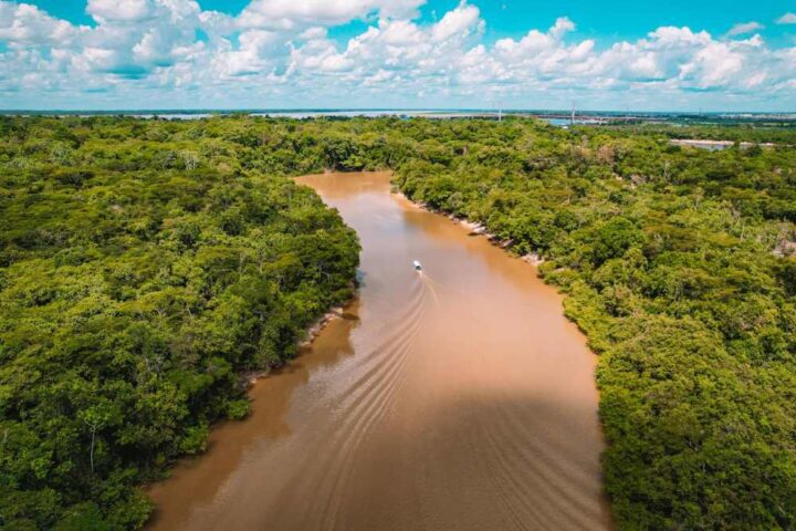 Aerial view of winding muddy river cutting through dense Amazon rainforest canopy with lush green vegetation