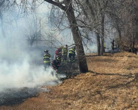 Firefighters extinguishing smoldering grass and brush under trees in a greenbelt near Pinnacle Charter High School in Thornton after a fast-spreading wildfire.