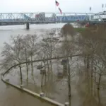 2011 Floodwater covering the Serpentine Wall riverfront promenade and trees at Yeatman’s Cove along the Ohio River in Cincinnati with a bridge and stadium visible in the background.