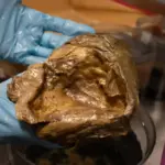 Scientist holding golden orb specimen in lab identified as base of deep-sea anemone Relicanthus daphneae