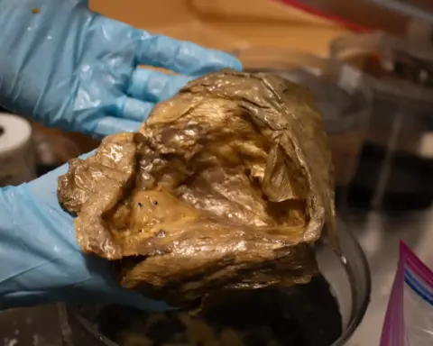 Scientist holding golden orb specimen in lab identified as base of deep-sea anemone Relicanthus daphneae