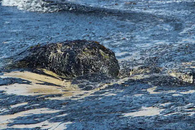 Oil slick and thick hydrocarbon residue floating on seawater during the 2015 Refugio Oil Spill in California, showing surface spread patterns of contamination.