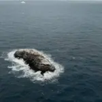 Ice-covered rocky island surrounded by ocean waves in the Weddell Sea, identified during the 2026 AWI Polarstern Antarctic expedition.