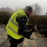 Amazon delivery driver in a yellow high-visibility vest carrying Nora the tabby cat from a residential garden in Elland, West Yorkshire, as captured on Ring doorbell footage linked to a Pet Abduction Act 2024 case.