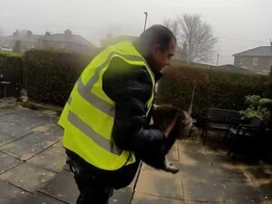 Amazon delivery driver in a yellow high-visibility vest carrying Nora the tabby cat from a residential garden in Elland, West Yorkshire, as captured on Ring doorbell footage linked to a Pet Abduction Act 2024 case.