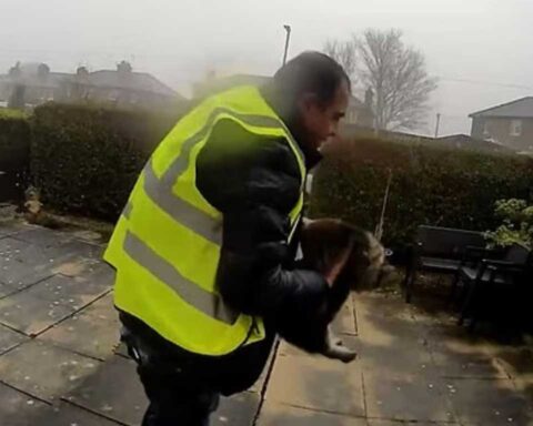 Amazon delivery driver in a yellow high-visibility vest carrying Nora the tabby cat from a residential garden in Elland, West Yorkshire, as captured on Ring doorbell footage linked to a Pet Abduction Act 2024 case.