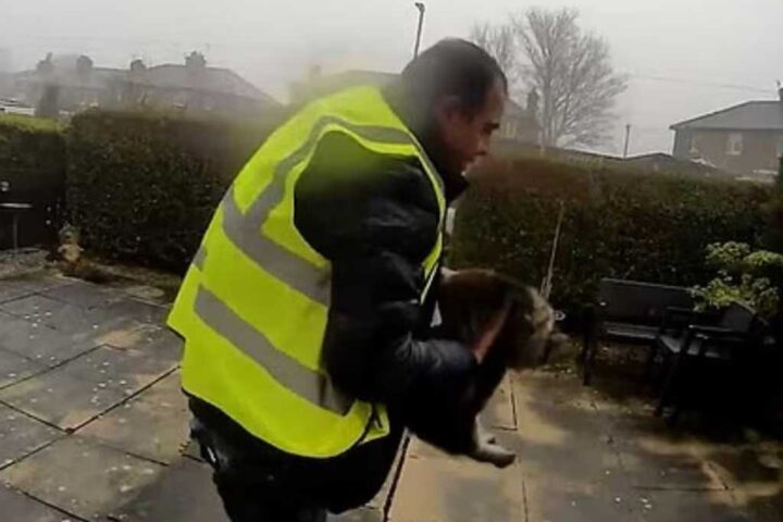 Amazon delivery driver in a yellow high-visibility vest carrying Nora the tabby cat from a residential garden in Elland, West Yorkshire, as captured on Ring doorbell footage linked to a Pet Abduction Act 2024 case.
