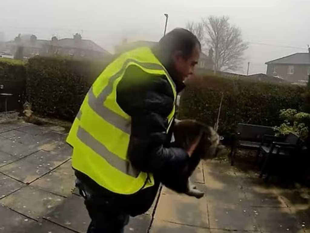 Amazon delivery driver in a yellow high-visibility vest carrying Nora the tabby cat from a residential garden in Elland, West Yorkshire, as captured on Ring doorbell footage linked to a Pet Abduction Act 2024 case.