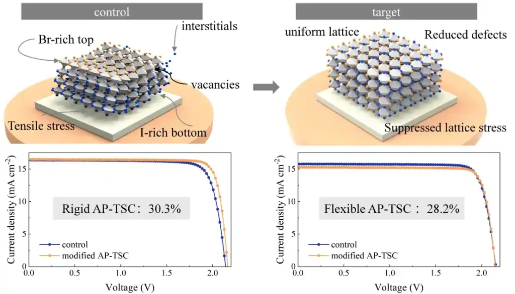 Scientific illustration comparing control and modified all-perovskite tandem solar cells, showing reduced lattice defects and stress in the modified structure, alongside current density-voltage performance curves demonstrating certified efficiencies of 30.3% for rigid cells and 28.2% for flexible cells.