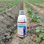 Syngenta Ends Paraquat Sales: Australian Farmers Seek Herbicide Alternatives