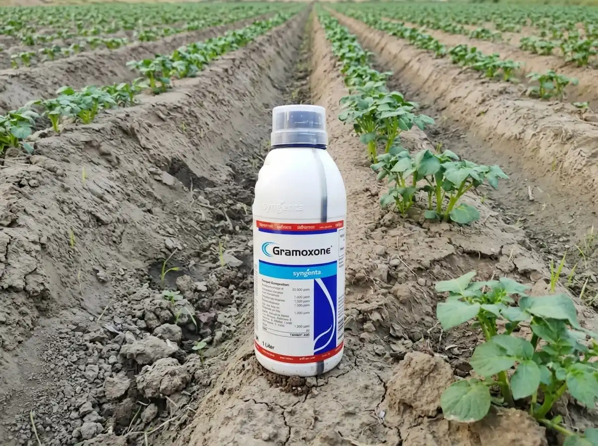 Syngenta Ends Paraquat Sales: Australian Farmers Seek Herbicide Alternatives