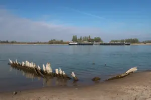 Exposed wooden ribs of a shipwreck on a sandy riverbank with low water behind it.