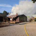 Hoo Zoo Shropshire Fire: Facility Closure Follows August 2026 Blaze in Telford