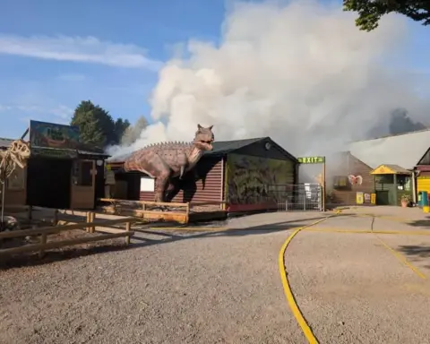 Entrance of Hoo Zoo and Dinosaur World with a T-Rex statue and smoke from the August 2026 fire.