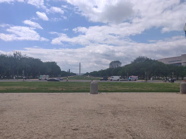 Trump Attributes Dead Grass at National Mall July 4 Event Site to Acts of Vandalism
