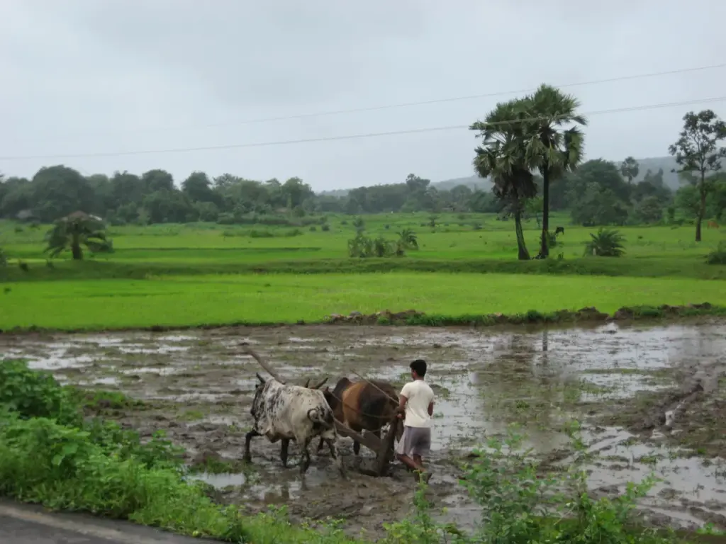 A farmer working in a field.