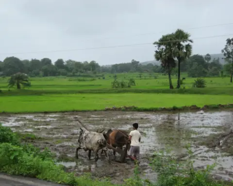 A farmer working in a field.
