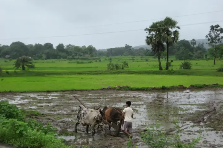 A farmer working in a field.