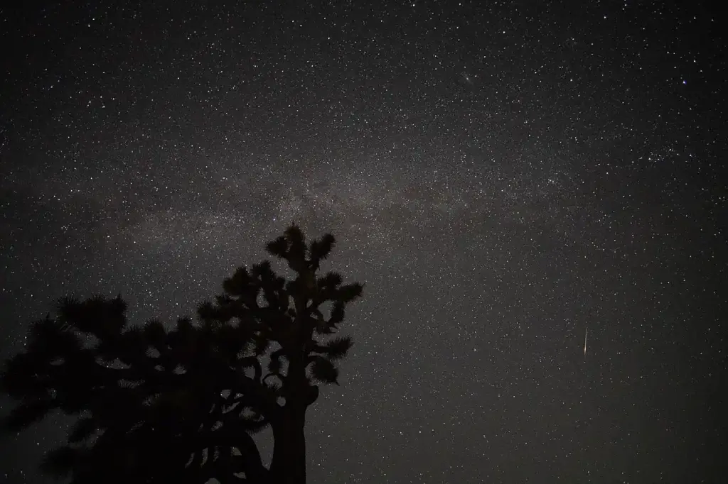 Two Meteor Showers Peak Tonight: Up to 20 Meteors Per Hour Possible
