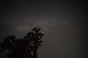 A meteor streaks across the night sky above a Joshua tree.