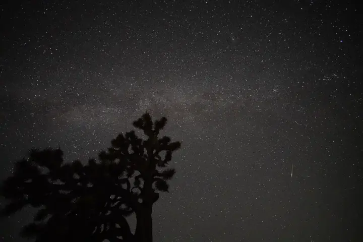 A meteor streaks across the night sky above a Joshua tree.