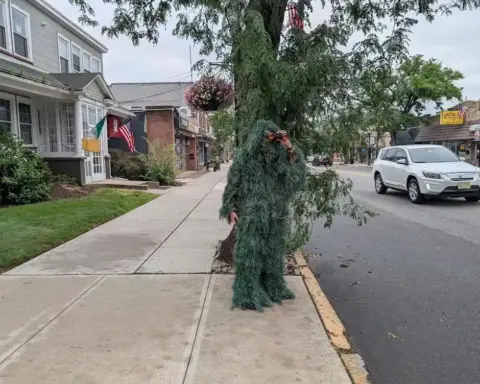 Police officer in camouflage disguise with binoculars.