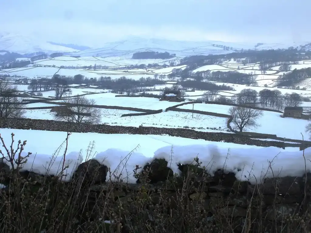 Summer Snow Blankets Northern Europe—Climate Variability or Arctic Pattern Shift?