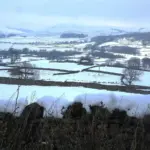 Summer Snow Blankets Northern Europe—Climate Variability or Arctic Pattern Shift?