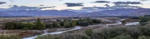 Ahuriri River flowing through Canterbury, New Zealand at sunrise.