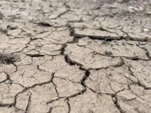 Dry, cracked soil from drought