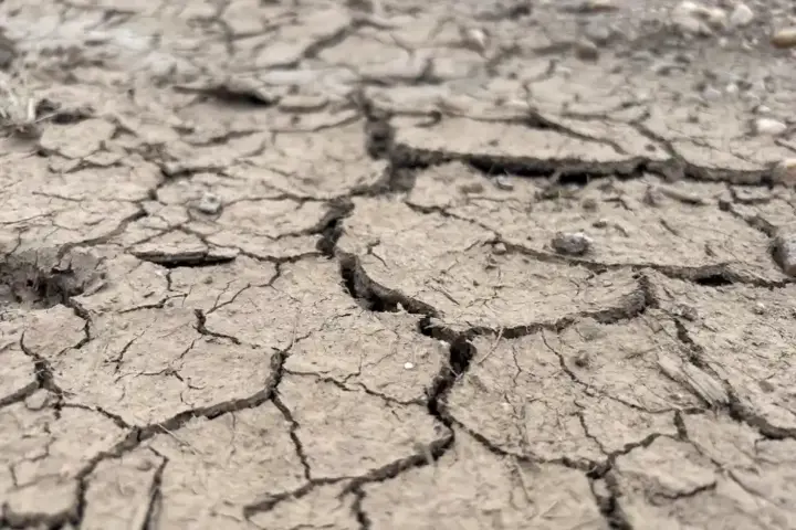 Dry, cracked soil from drought