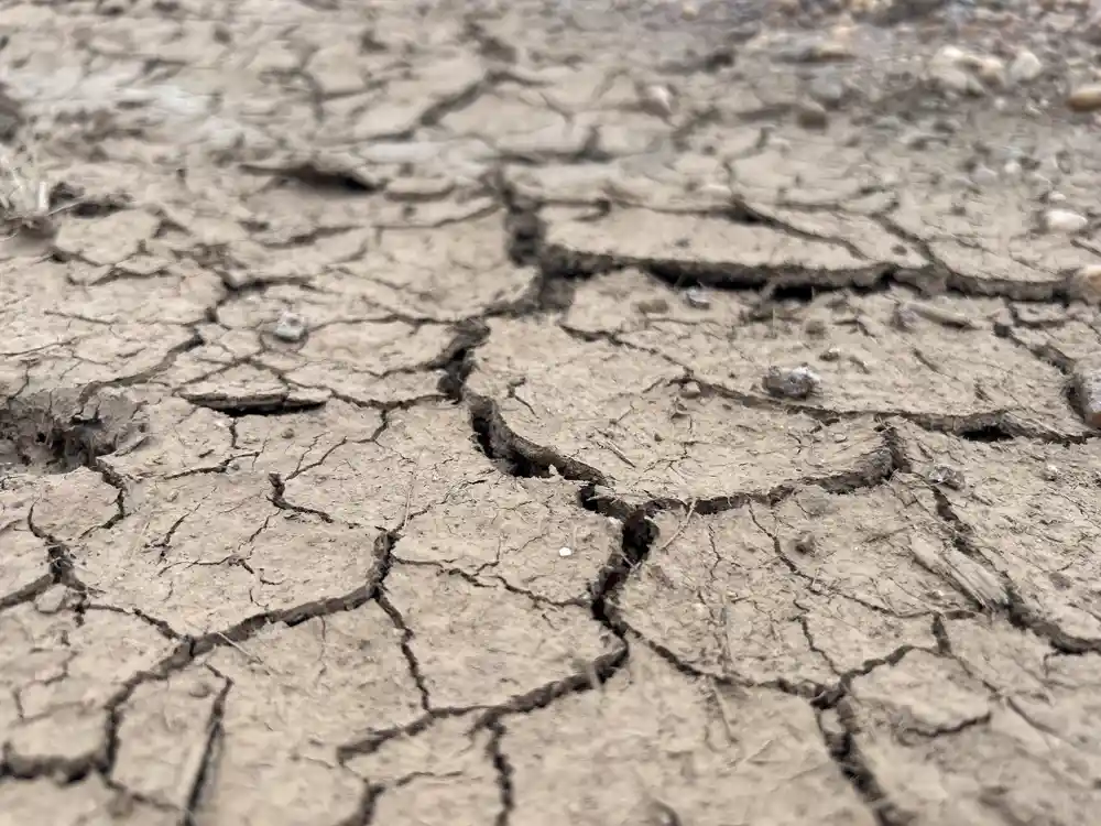 UK’s Most Changeable Week Since June as Heatwave Yields to Rain