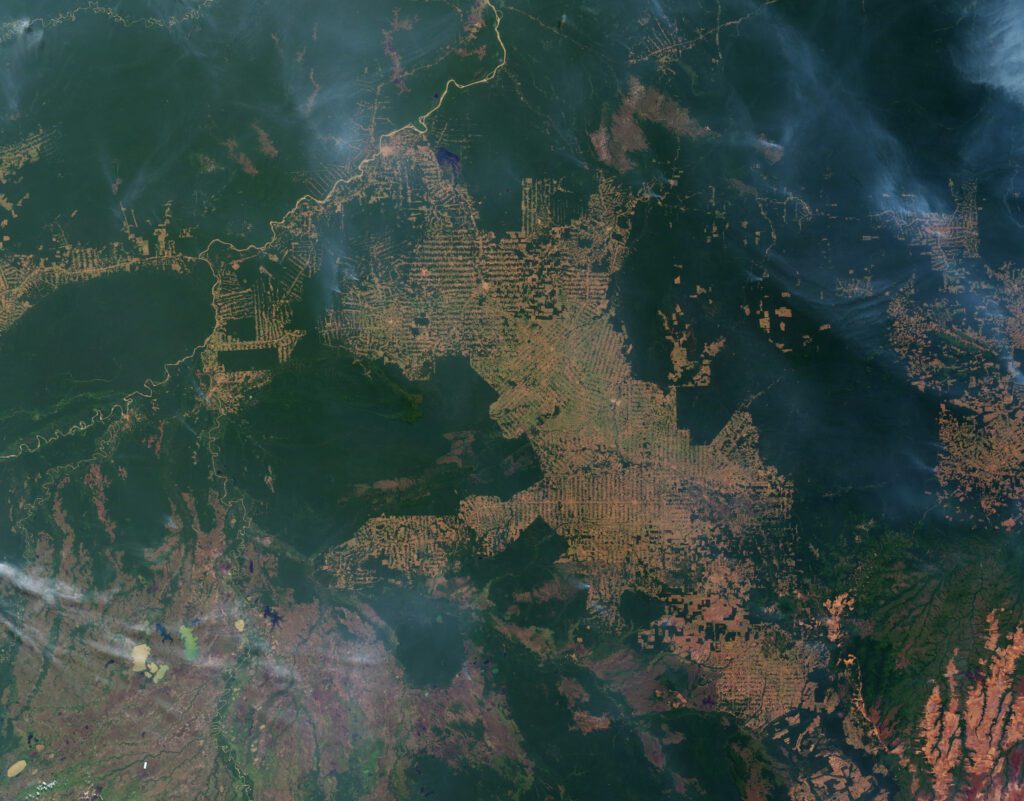 Amazon Deforestation Explodes 92% in Five Months—Brazil’s 2026 Election Will Decide the Rainforest’s Fate