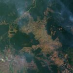 Amazon Deforestation Explodes 92% in Five Months—Brazil’s 2026 Election Will Decide the Rainforest’s Fate