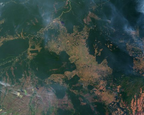 Satellite view of active fires and cleared forest patches along the Amazon frontier in Rondônia, Brazil.