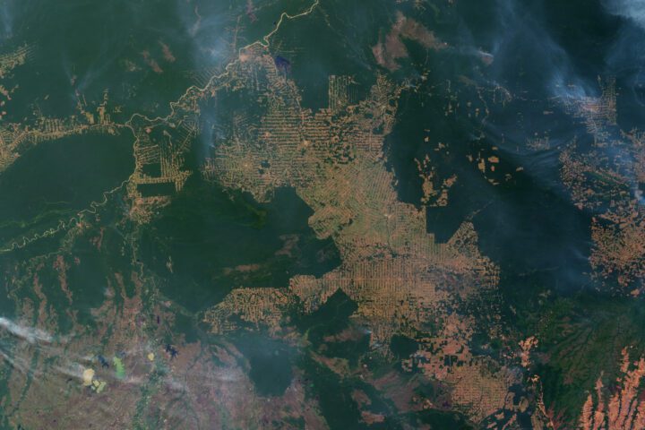 Satellite view of active fires and cleared forest patches along the Amazon frontier in Rondônia, Brazil.