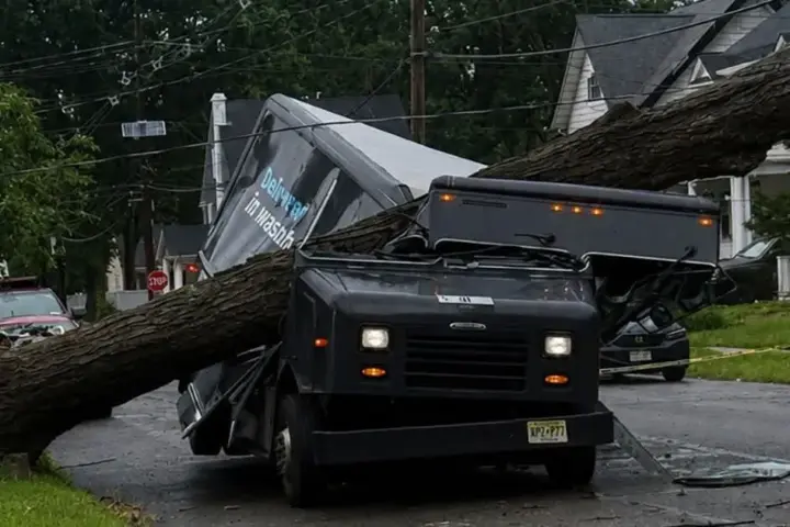 A massive tree toppled onto an Amazon delivery truck on Hillside Avenue during Friday night’s storm,