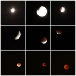 August 27-28 Partial Lunar Eclipse at 96% Coverage Misses India: NASA Confirms Visibility in Americas and Europe