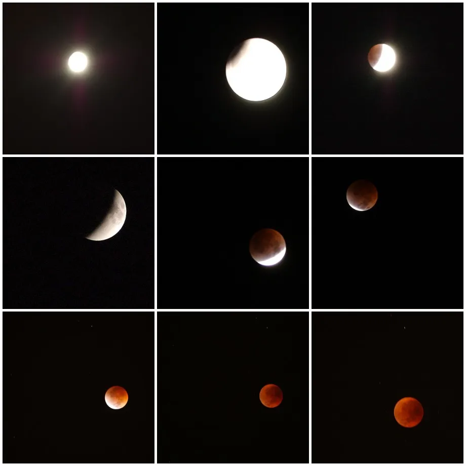 August 27-28 Partial Lunar Eclipse at 96% Coverage Misses India: NASA Confirms Visibility in Americas and Europe