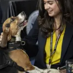 3-year-old explosives detection dog wins TSA contest: ‘Bolt’ beats 1,000+ trained canine teams across US airports