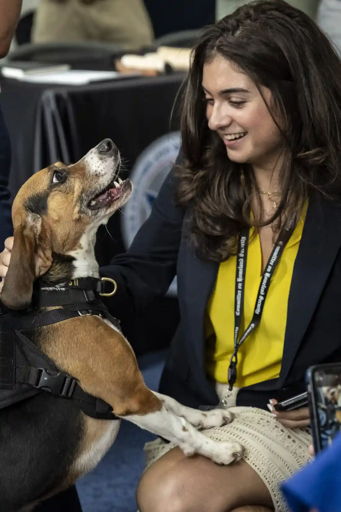 3-year-old explosives detection dog wins TSA contest: ‘Bolt’ beats 1,000+ trained canine teams across US airports