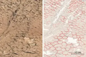 Curiosity rover image of hexagonal mud cracks at the Pontours site, Gale Crater, Mars.