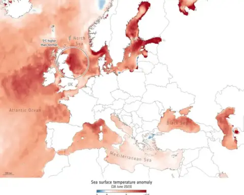 Satellite visualization of ocean temperature anomalies in the tropical Pacific during an El Niño event, highlighting the heat patterns that influence global weather systems