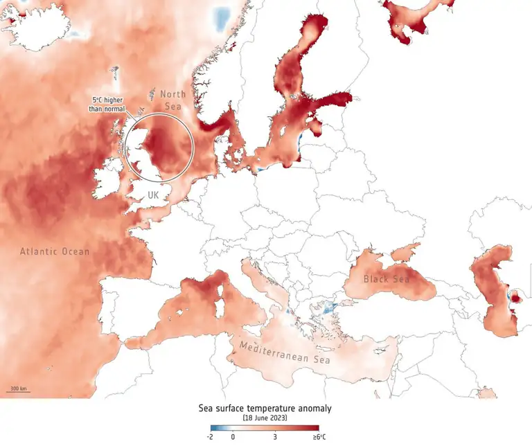 El Niño Forecast Shows ‘Exceptional’ Warming Could Trigger Wetter UK Autumn