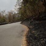 New Forest Fire 2026: Vehicle Blaze Spreads Amid Record UK Drought Conditions