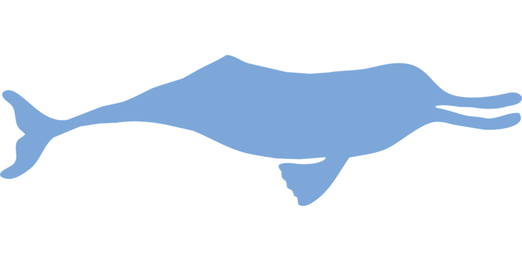 CAMPA Approves Dolphin Recovery Plan as 6,327 Ganges Dolphins Face Silence in Brahmaputra’s Noisiest River Stretch