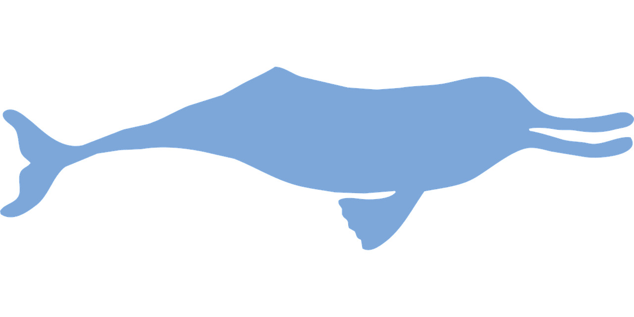 CAMPA Approves Dolphin Recovery Plan as 6,327 Ganges Dolphins Face Silence in Brahmaputra’s Noisiest River Stretch