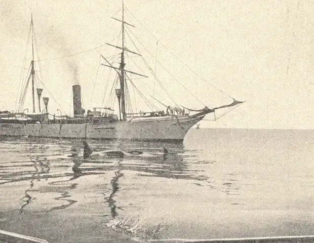Vintage print of a steamship in the Strait of Gibraltar with orcas swimming at its bow