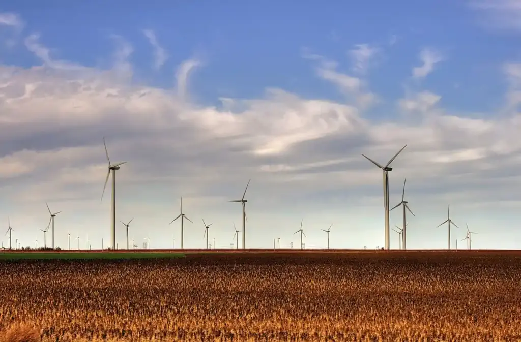 Rows of wind turbines at the Smoky Hills Wind Farm on Kansas ranchland.