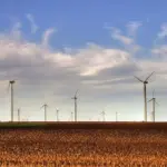 Wind Energy Powers Ranches: Kansas Farmers Earn ,700/MW Annually